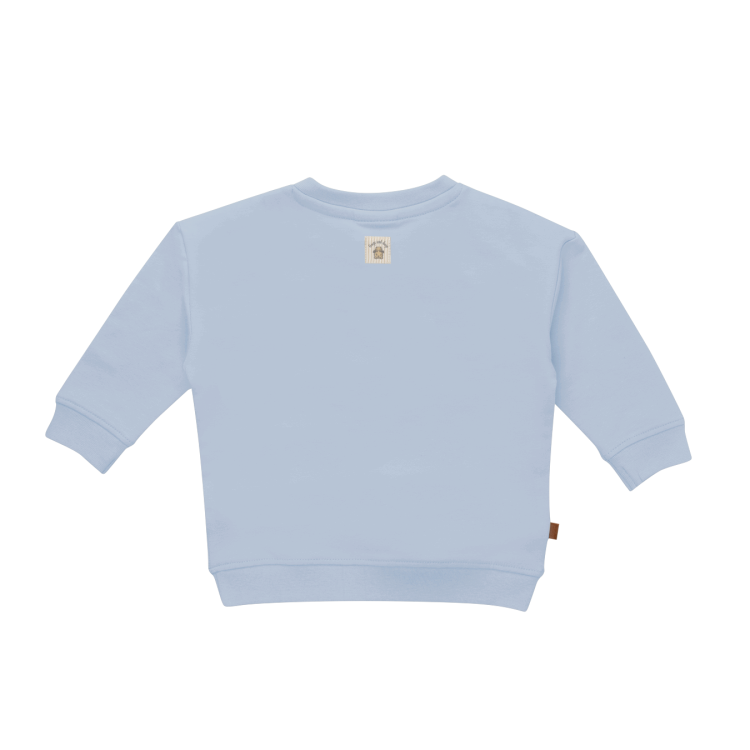 Frogs and Dogs Sweater | Smile | Kentucky Blue