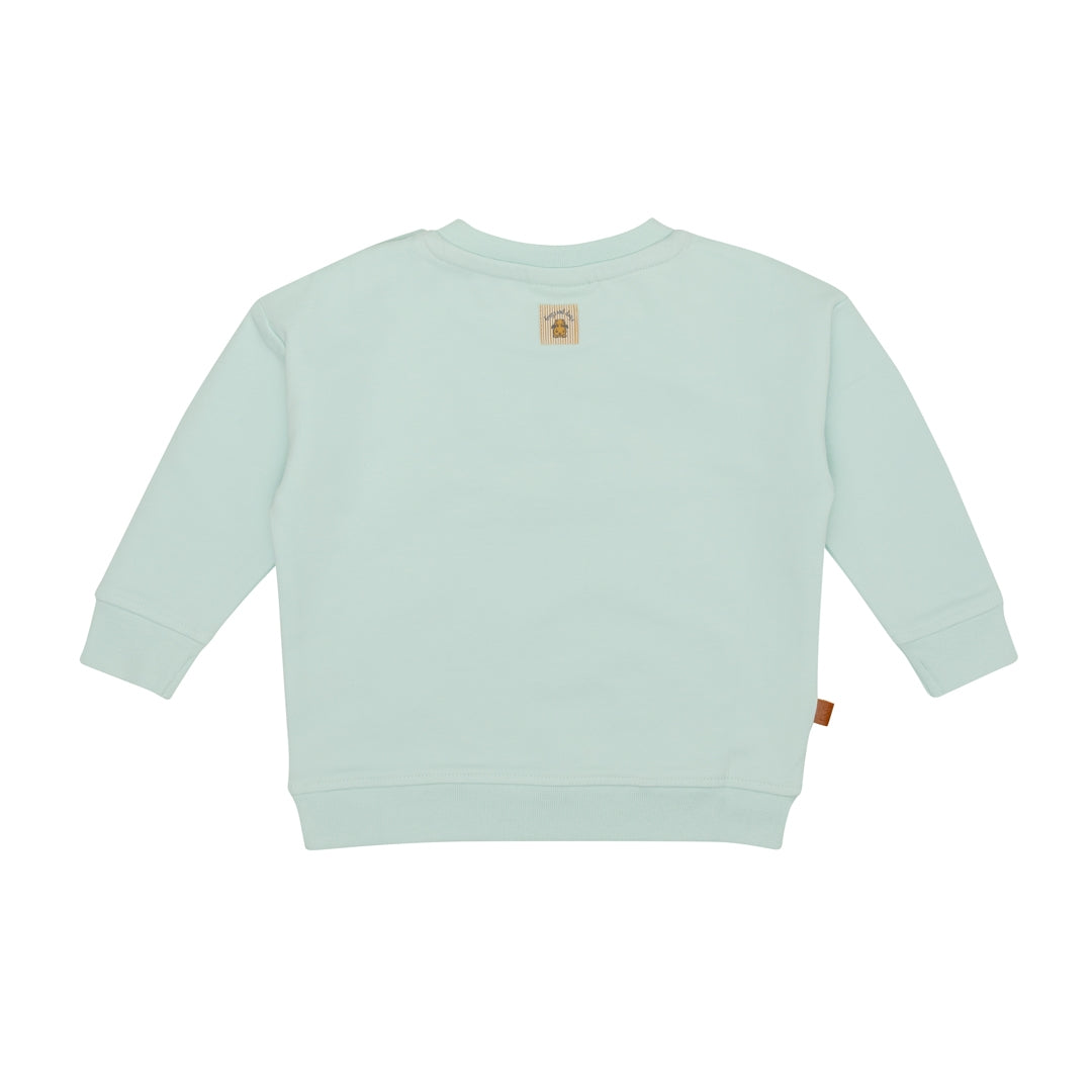 Frogs & Dogs Sweater | Trui | Fast Car | Pastel Blue