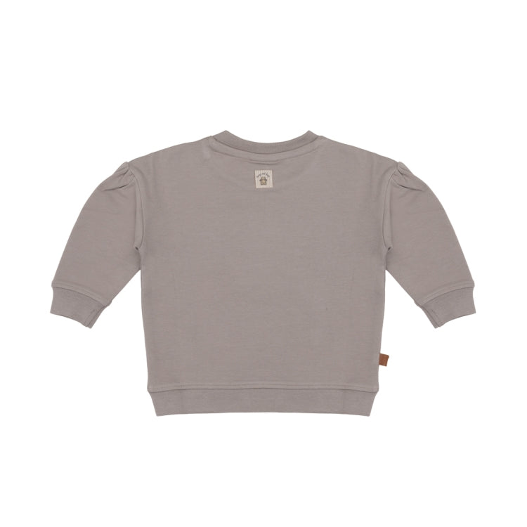 Frogs & Dogs Sweater | Trui | Petit Ours | Wet Weather | Grijs | Roze
