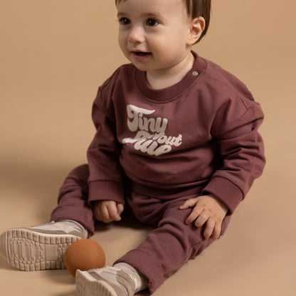 Noppies Sweater | Lange Mouw | Baked Cherry | Tiny But True