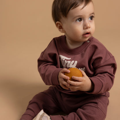 Noppies Sweater | Lange Mouw | Baked Cherry | Tiny But True