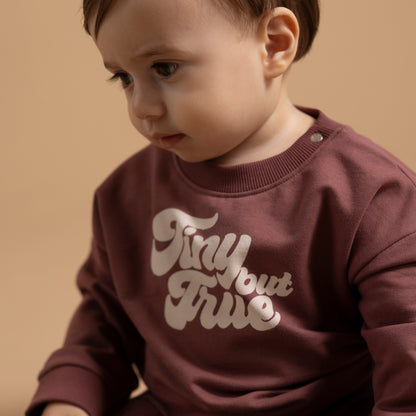 Noppies Sweater | Lange Mouw | Baked Cherry | Tiny But True