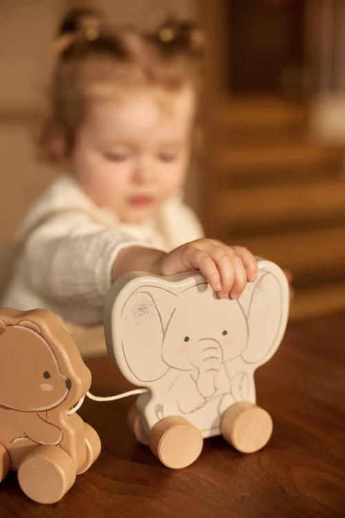 Jollein Houten Jollies op Wielen | Konijn |  Beertje | Olifant
