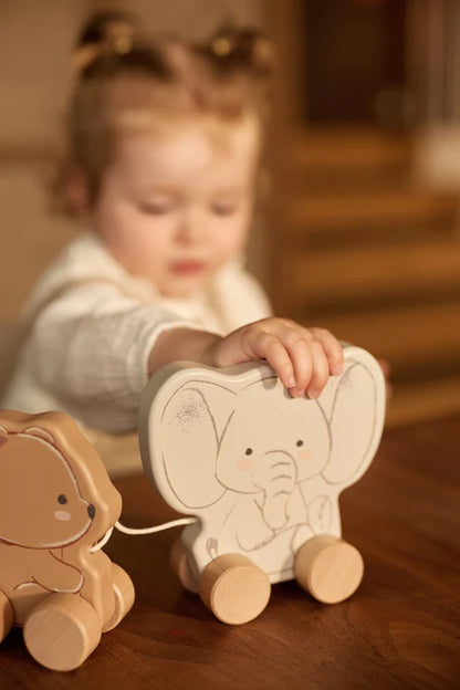 Jollein Houten Jollies op Wielen | Konijn |  Beertje | Olifant