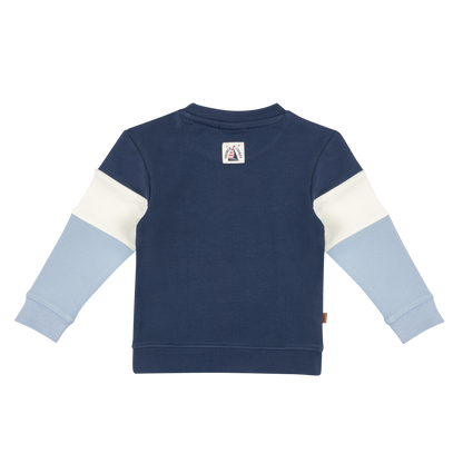 Frogs and Dogs Sweater | Colourblok