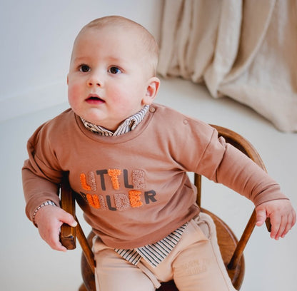 Frogs & Dogs Sweater | Trui | Little Builder | Bruin
