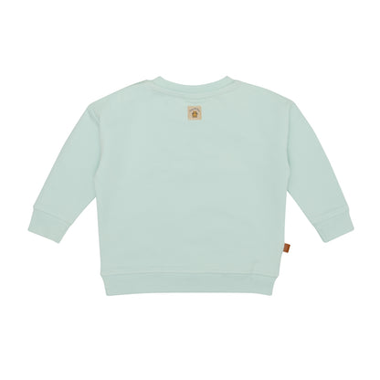 Frogs & Dogs Sweater | Trui | Fast Car | Pastel Blue
