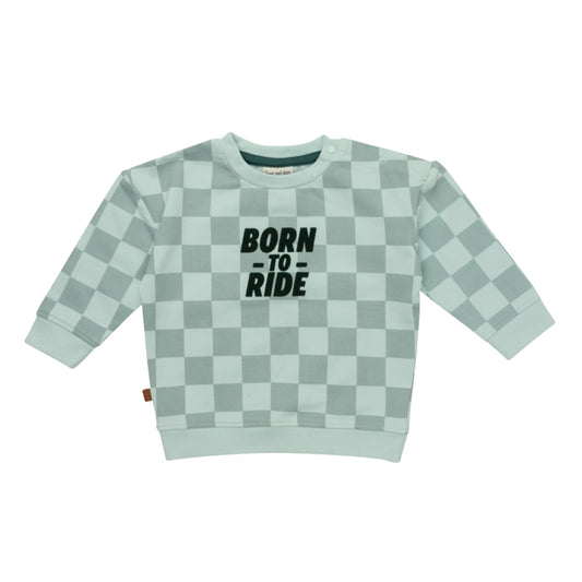 Frogs & Dogs Sweater | Trui | Born To Ride | Pastel Blue