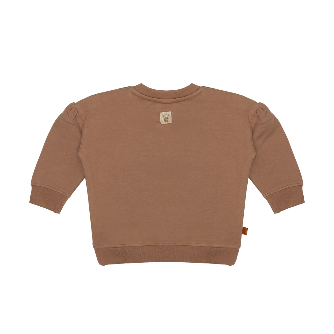 Frogs & Dogs Sweater | Trui | Bee | Brownie | Bruin