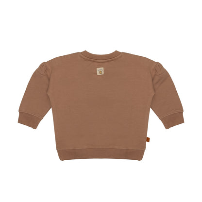 Frogs & Dogs Sweater | Trui | Bee | Brownie | Bruin