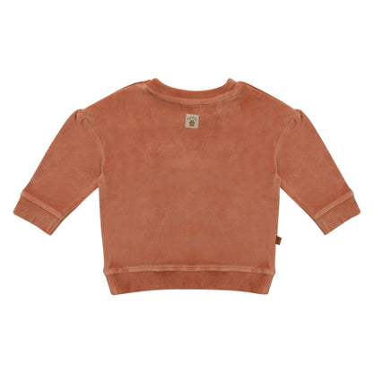 Frogs & Dogs Sweater | Trui | Hearts | Cameo Brown | Bruin