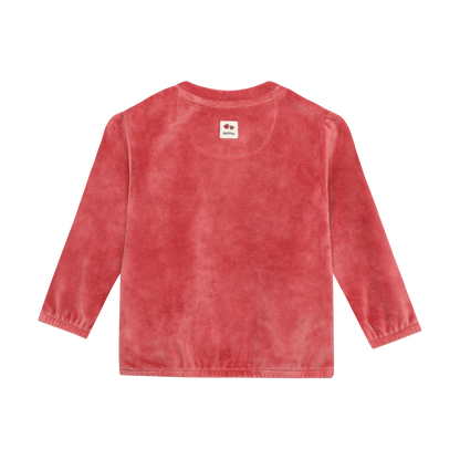 Noppies Sweater | Lange Mouw | Dusty Cedar | Velours