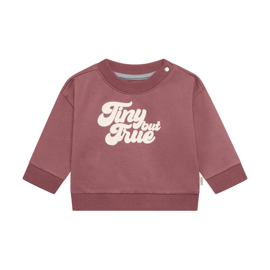 Noppies Sweater | Lange Mouw | Baked Cherry | Tiny But True