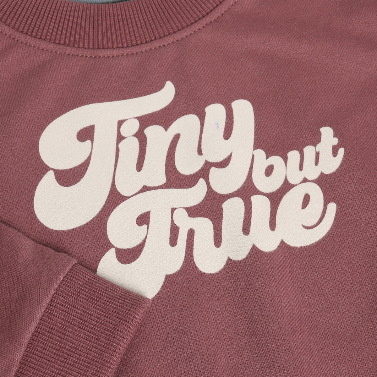 Noppies Sweater | Lange Mouw | Baked Cherry | Tiny But True