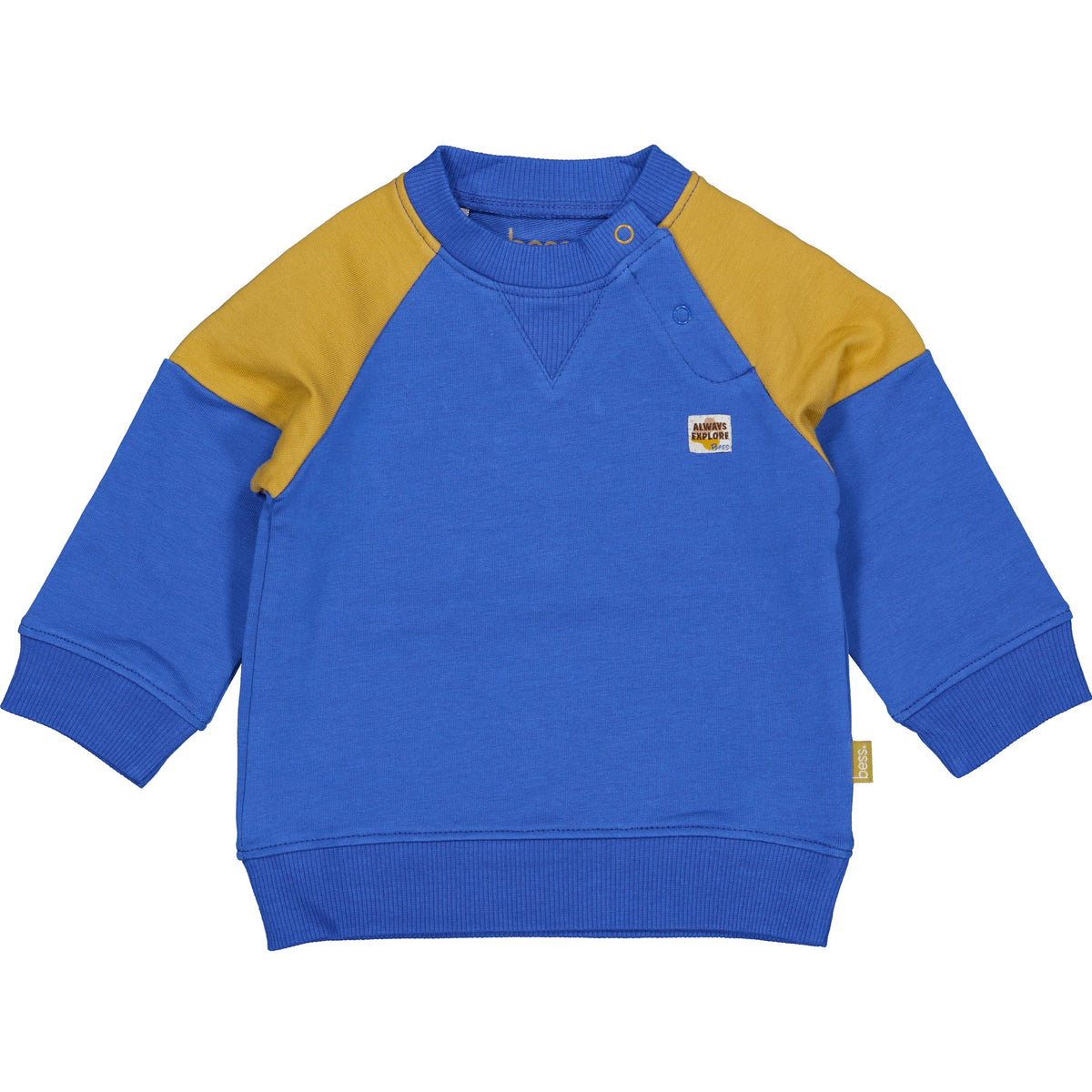 Bess Sweater | Trui | Royal Blue
