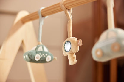 Babygym Speeltjes On The Go